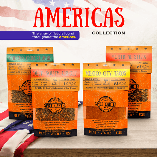 Americas Spice Gift Box | Spice Cartel – 4 Gewürzmischungen à 35 g, wiederverschließbar-0